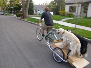 Doesn't everyone take their dogs on bike rides?!