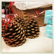 Perfect pinecones from McCall, where the capitol Christmas tree is from!
